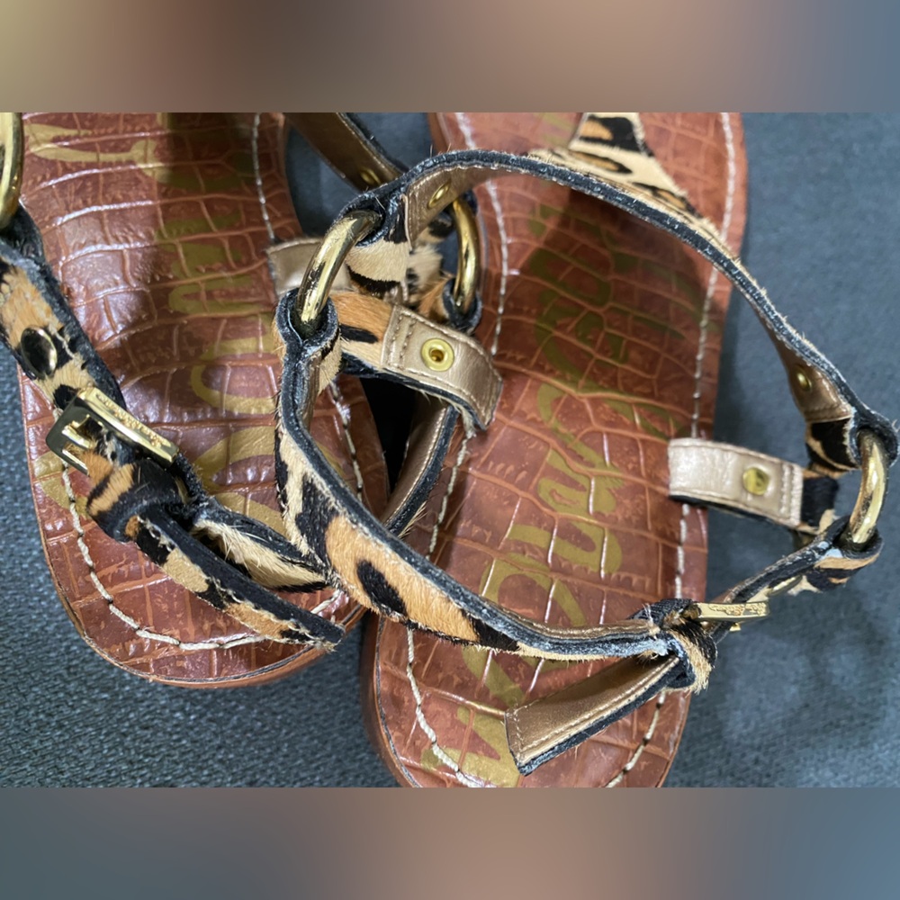 Sam Edelman Jude Leopard Print Calf Hair Thong Sandal - Picture 14 of 16
